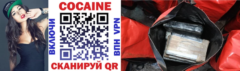 Cocaine Fish Scale  купить закладку  Шилка 
