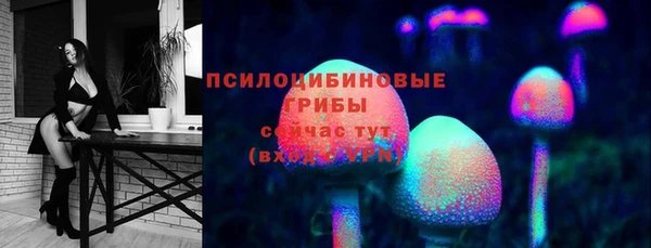 кокс Абаза